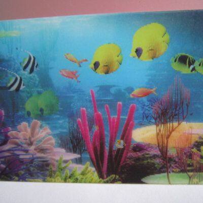 3d Pictures New Design Hot Selling 3d Picture Cate photo-3