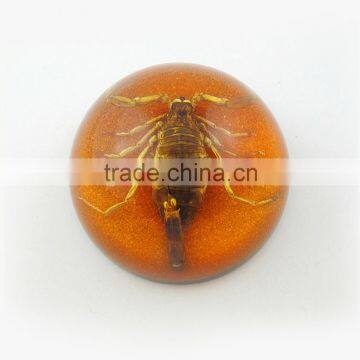 2016 new style professional novel wholesale paperweight with real insect