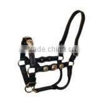 Bridles and Halters