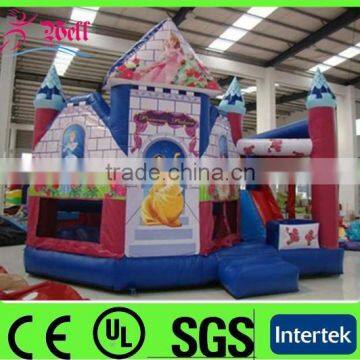 frozen bouncy castle / princess castle bed / adult bouncy castle