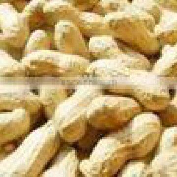 Chinese Peanuts with shell