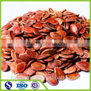 Professional supplier for hybrid water melon seed