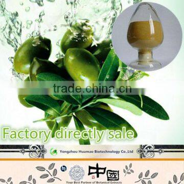 Factory supply low price natural organic Hydroxytyrosol 10%