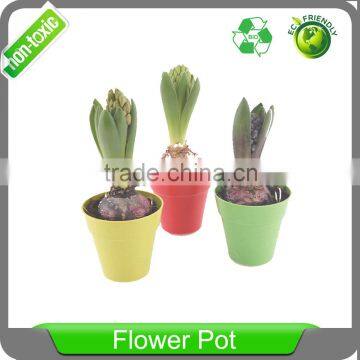 5 inch Biodegradable round clourful Nursery Pots bamboo fibre plants pot flower with tray coaster