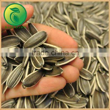2015 New Crop Free Samples CBD Oil Sunflower Seeds photo-2