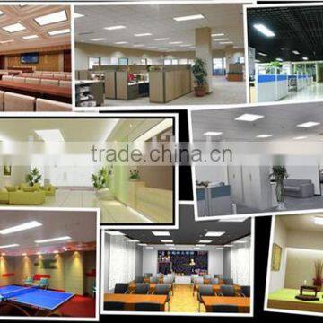 Hot Sale Dimmable Led Panel Light 0-10V Dimming Type Office Ceiling Lighting photo-5