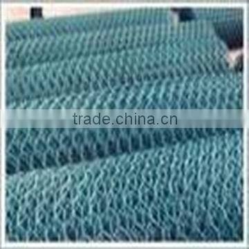 hexagonal wire netting