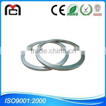 500w permanent magnet alternator radial ring neodymium magnet