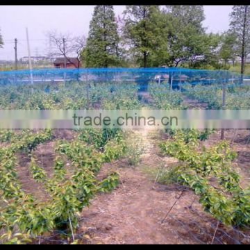 Functional anti-bird mesh/hebei tuosheng