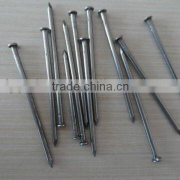 galvanized pure common iron round nail factory