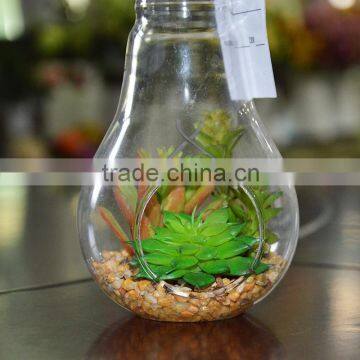 Plastic Succulent Plants Geometric Glass Terrarium Wholesale Container photo-3