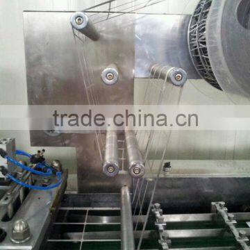 DPP-250FI Flat Type AL/PL Blister Packing Machine photo-3