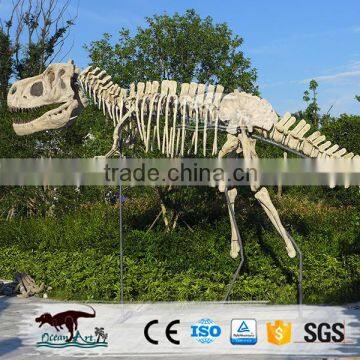 OA6163 Indoor Exhibition Life Like Fiberglass Dinosaur Statue For Sale