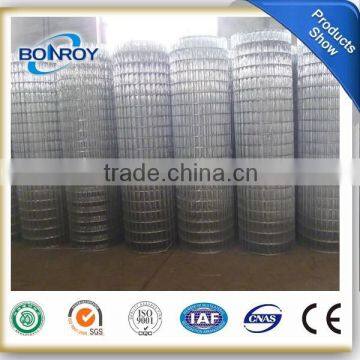 high quality galvanized welded wire mesh