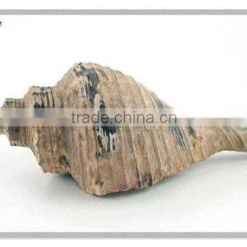 china manufacture indian antique sea conch shell for ps vita