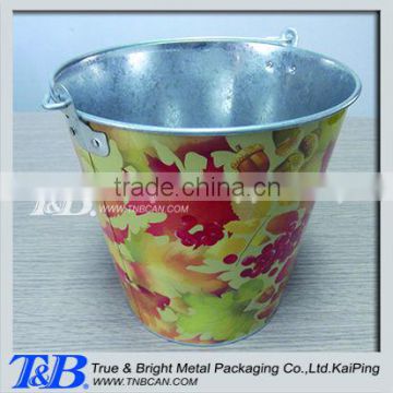 Decorative metal pail, zinc bucket