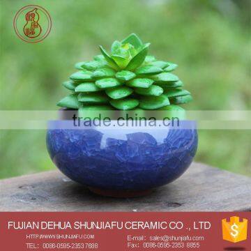 Desktop Decor Ceramic Mini Succulent Plant Pots Wholesale