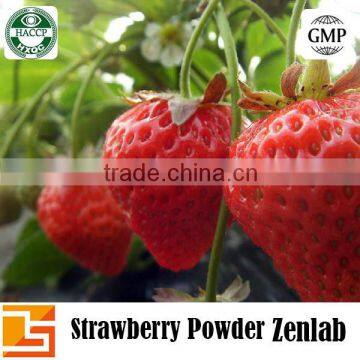 Natural Strawberry Fruit plant extract for Sale