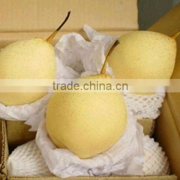 China fresh Ya pear