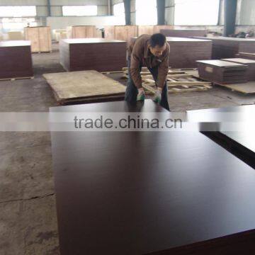 Film faced plywood/formwork plywood/ waterproof plywood