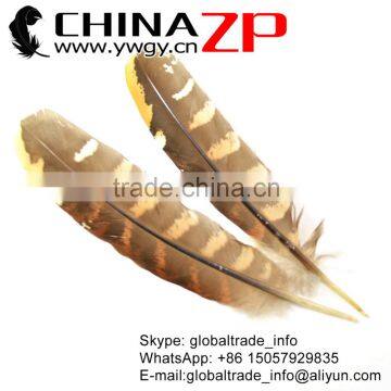 No.1 Supplier CHINAZP Top Selling 20-25cm Length Natural Reeves Venery Wing Pheasant Feathers for Decorations photo-6