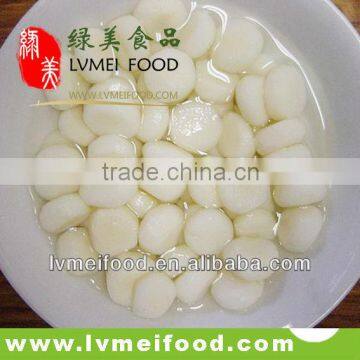 Canned Vegetable Canned Water Chestnut 567g