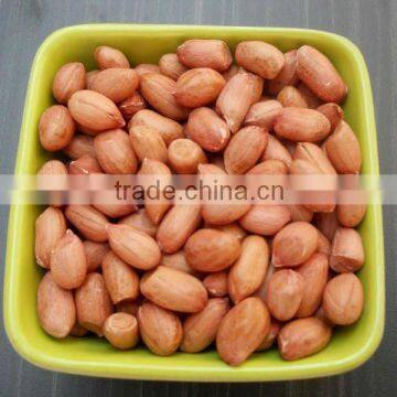 BOLD GROUNDNUT KERNEL 50/60 INDIAN EXPORTER