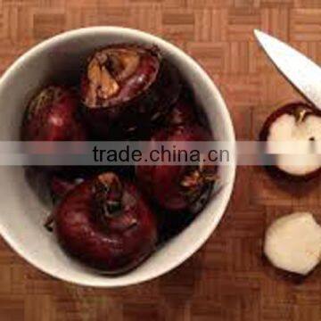 wholesale canned food water chestnut