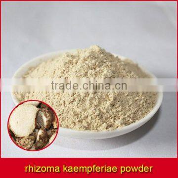 rhizoma kaempferiae powder