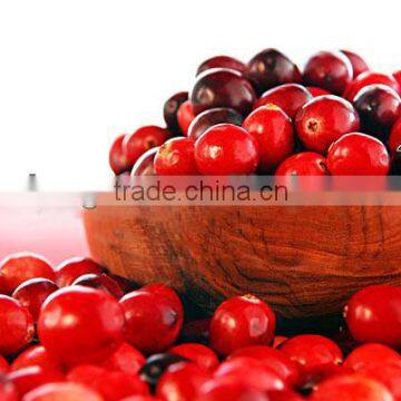 Cranberry Fruit Powder Extract Proanthocynidins 5--60% With Anthocyanidins 5-25% UV photo-2