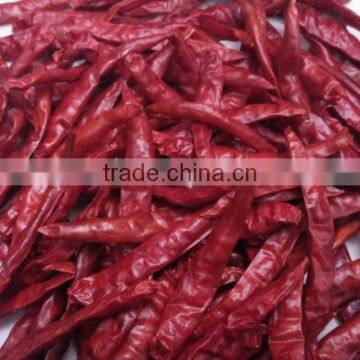 Premium quality Indian Red Chilli Exporters