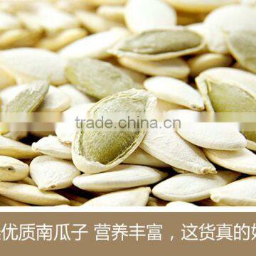 pumpkin seed