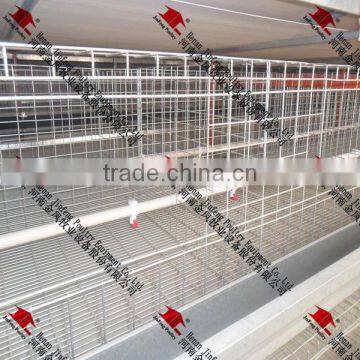 H-Type Automatic Pullet Equipment