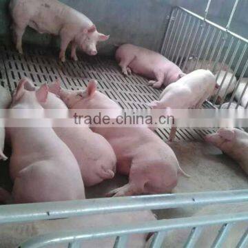 Agricultural Machines Manufactor Oem Cast Iron Pig Floor Farm Machinery Spare Part 300*600 Cast Floor Raise Pig photo-3