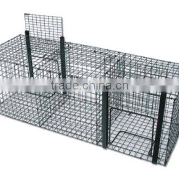 steel wire catch bird cage /bird&pigeon cage trap(foldable)/multi catch bird cage/catch canary trap cage