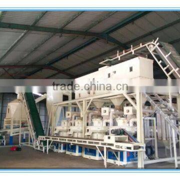 Rotex Biomass Pellet Machine Press Rubber Wood Pellet photo-5
