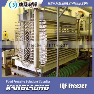 High Quality Double Contact Plate freezer With Great Price