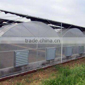 Muiti Span Tunnel PC Sheet Greenhouse for Vegetable and Fruit photo-2