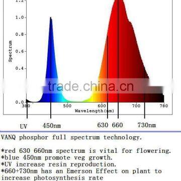 Newest Led Grow Light China Factory VANQLED 300w Cob Grow Full Spectrum photo-4