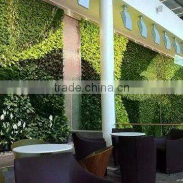 2017 Hot Sale Factory Price Artificial Plant Wall Artificial Plastic Plant Artificial Grass Wall photo-4