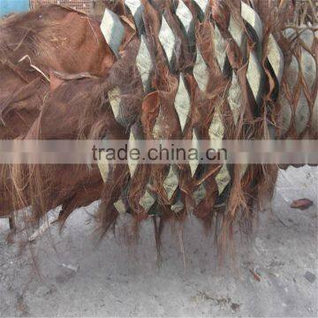 2017 Hot Sale Outdoor Decorative Artificial Plastic Palm Tree uv Anti photo-2