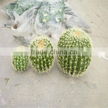 SJM091022 Guangzhou wholesale decoration artificial Cactus P.E Hoodia gordonii