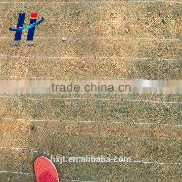 Biodegradable Erosion Control Products Coconut Erosion Blanket Hx800 photo-3