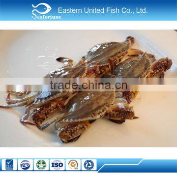 seafood export wholesale health swimming crab detail