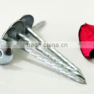 Roofing Nail Type and Iron Material umbrella roofing nails