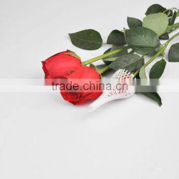 Laizhou Pengzhou PE Plastic Wrap for Flower Bud photo-5
