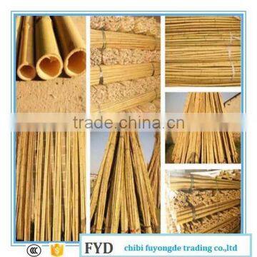 Bamboo poles in bamboo raw material