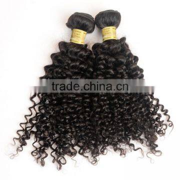 100% Natural Indian Real Hair, Afro Kinky Curly 100% Indian Human Hair Extensions photo-6