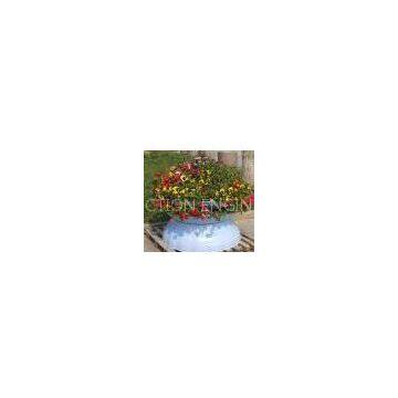 Flower Pot