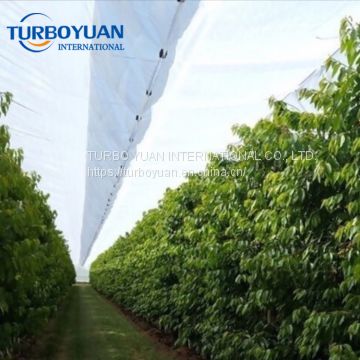 PE transparent woven tarpaulin cherry tree woven fabric cover